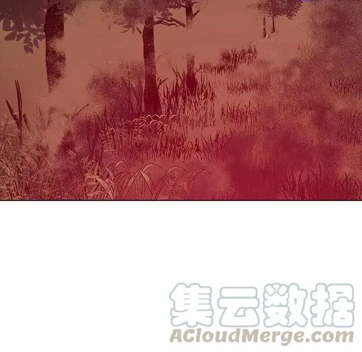 26 第25页