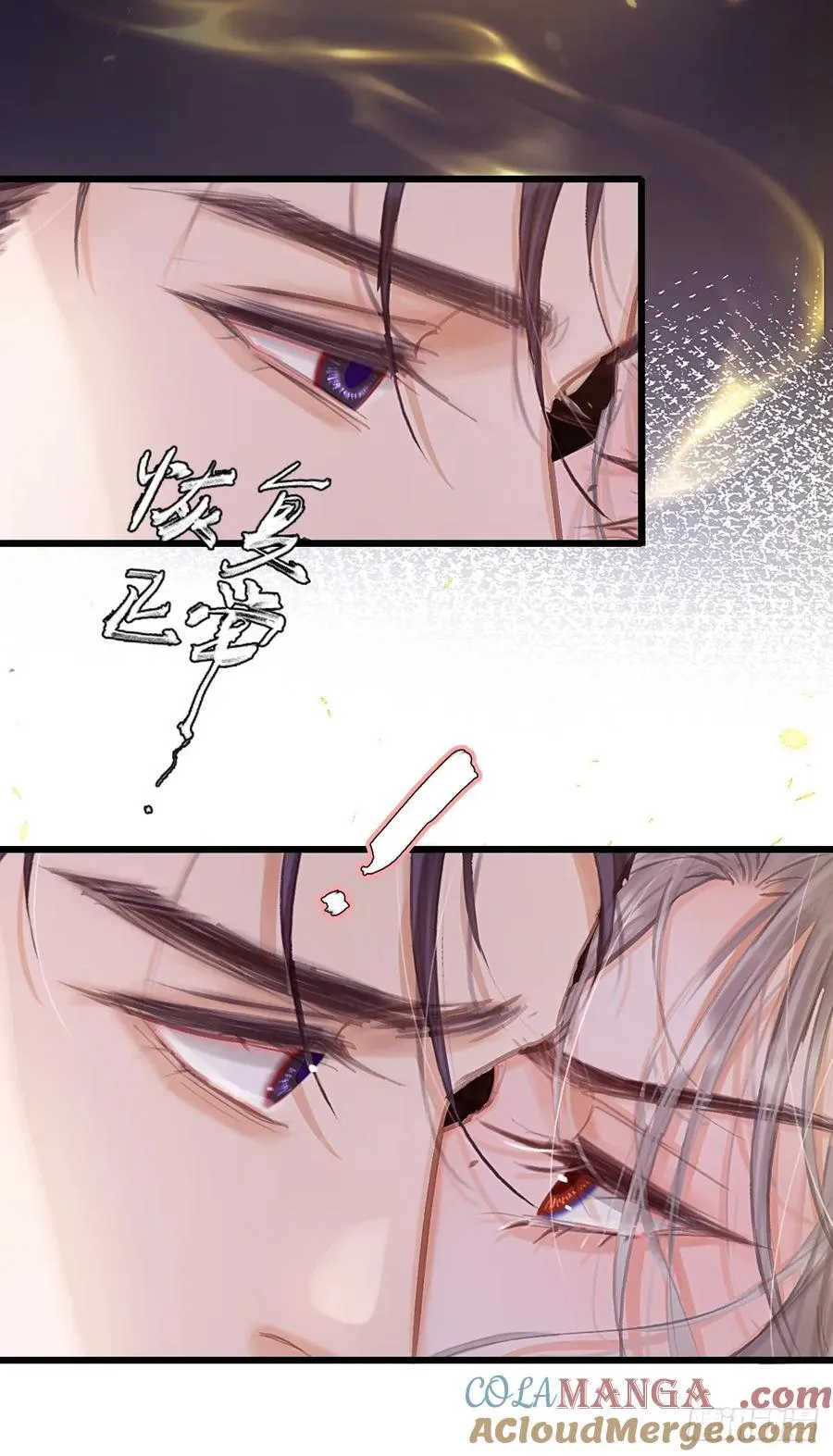 11.我的牡丹花 第13页
