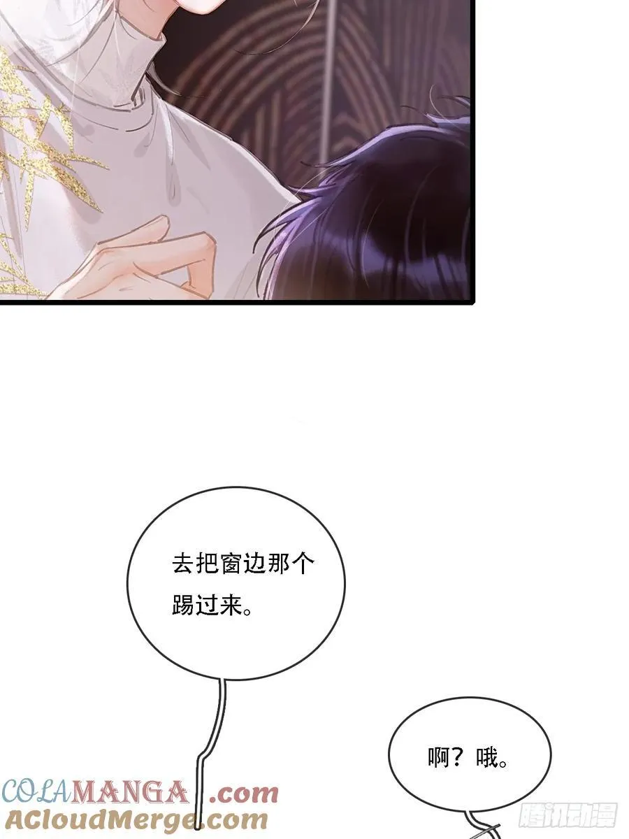 11.我的牡丹花 第37页