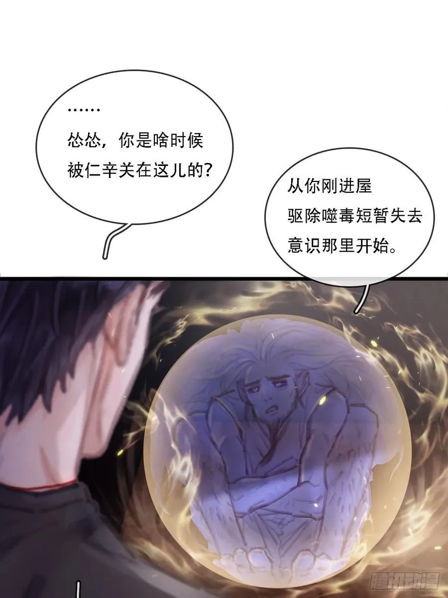 11.我的牡丹花 第41页