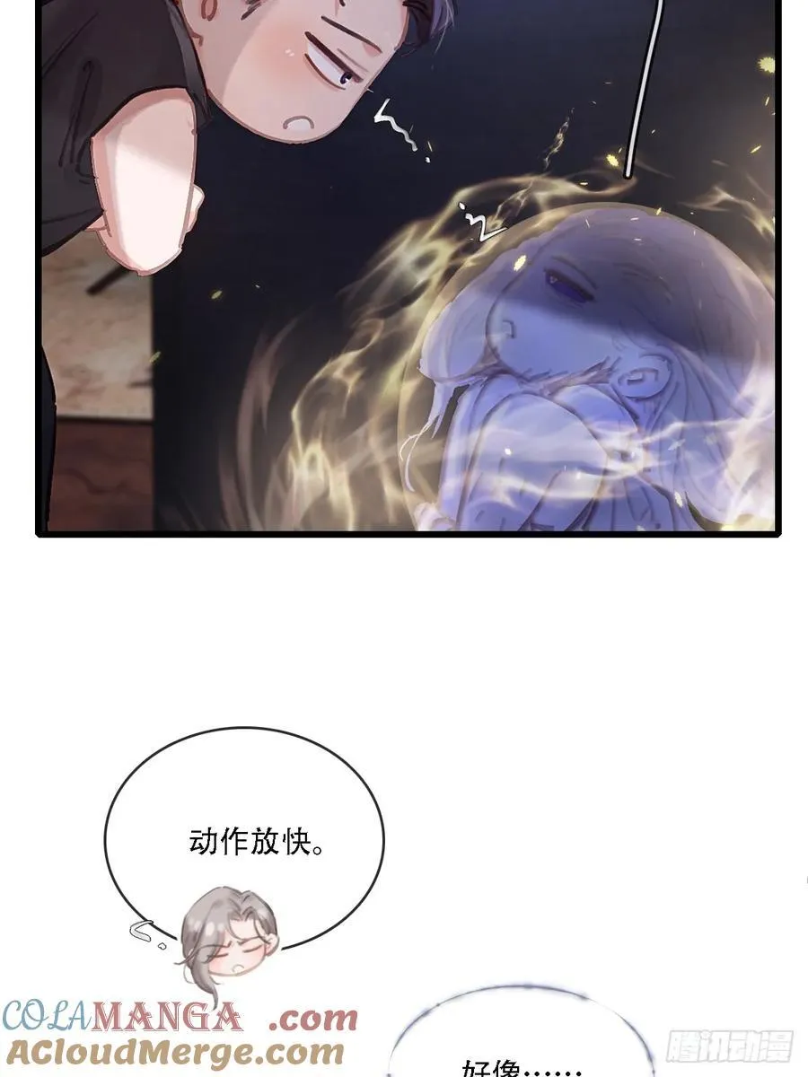 11.我的牡丹花 第43页
