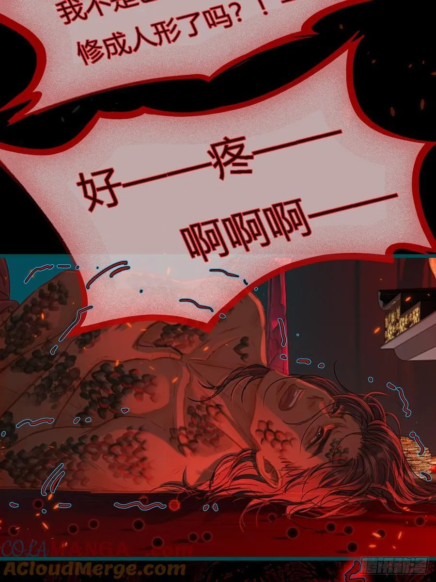 41.风突然转向 第10页