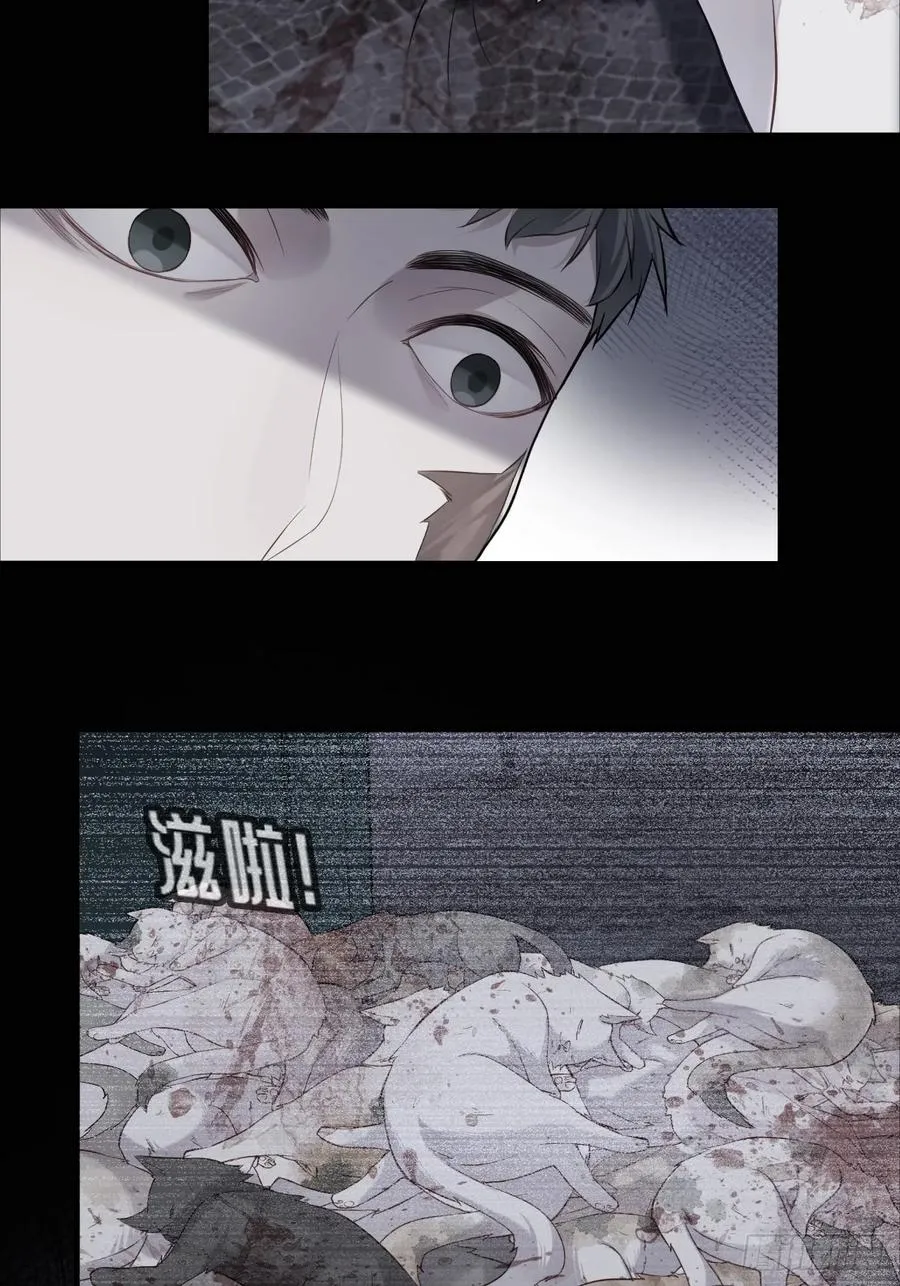 医院诡话：19、蛆虫的新生 第16页