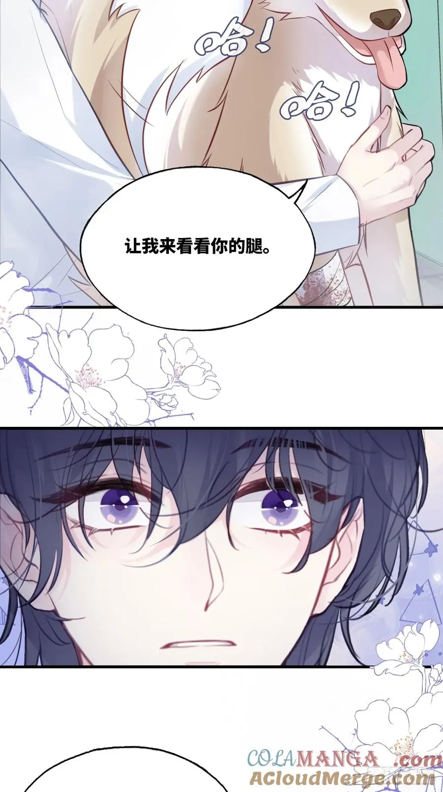 囚笼：11、阿黄 第43页