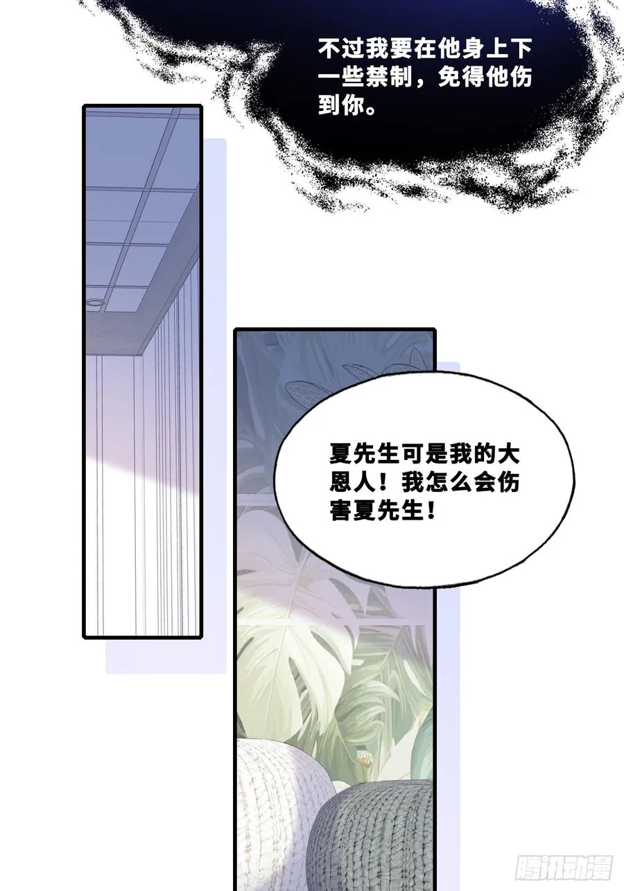 网：5、算计 第33页