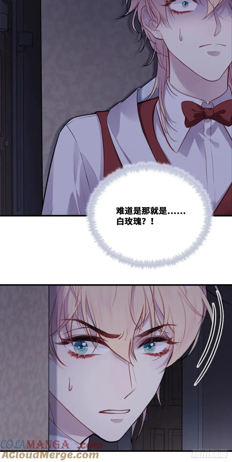 双花：9、白玫瑰 第49页