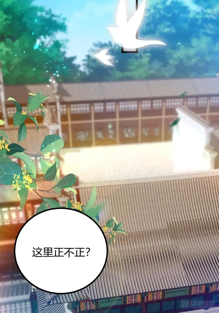 第145话 开宗立派！ 第41页