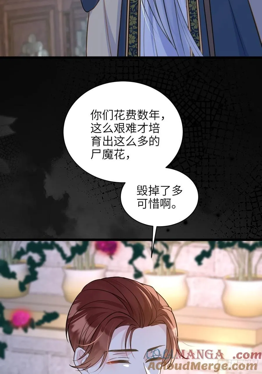 77 拉菲失忆的真相 第16页