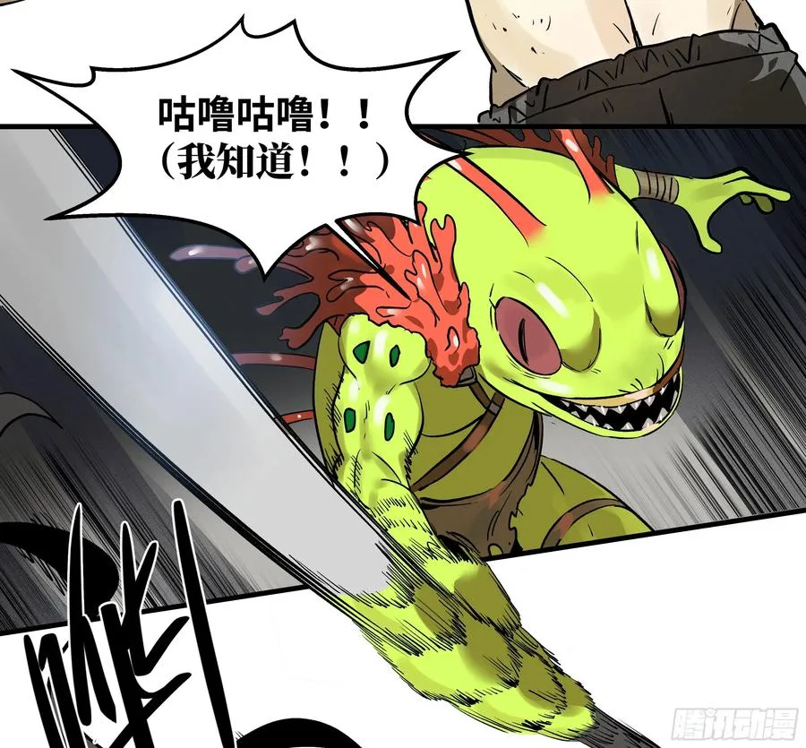 36 奇迹生还者 第17页