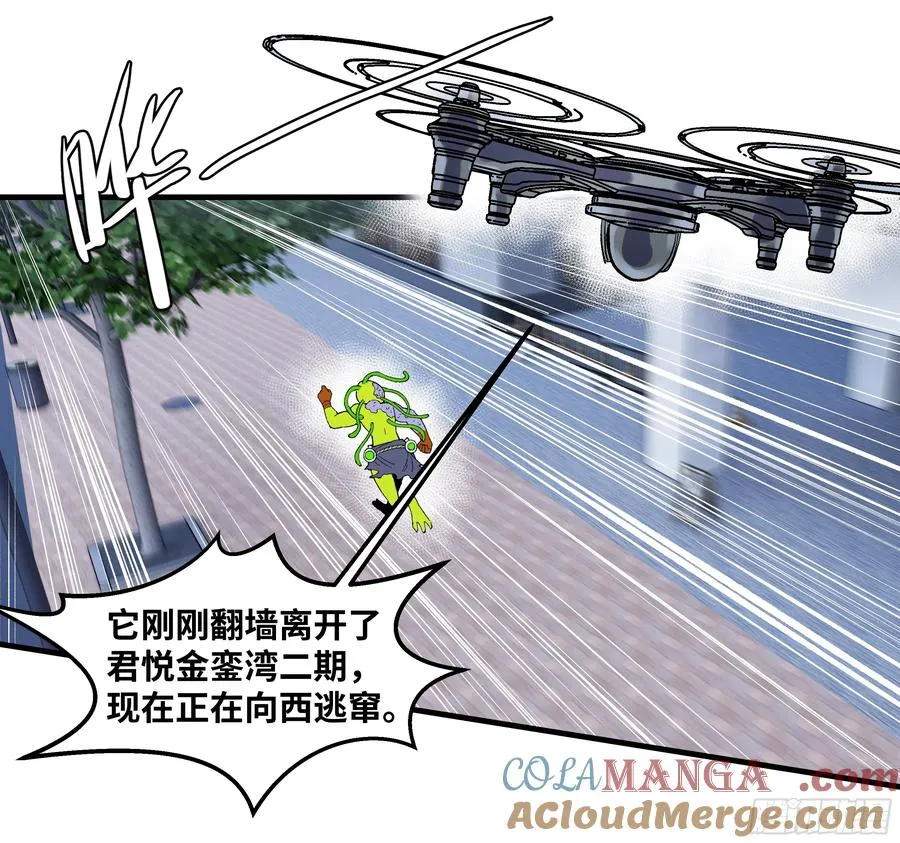 65 进化 第16页