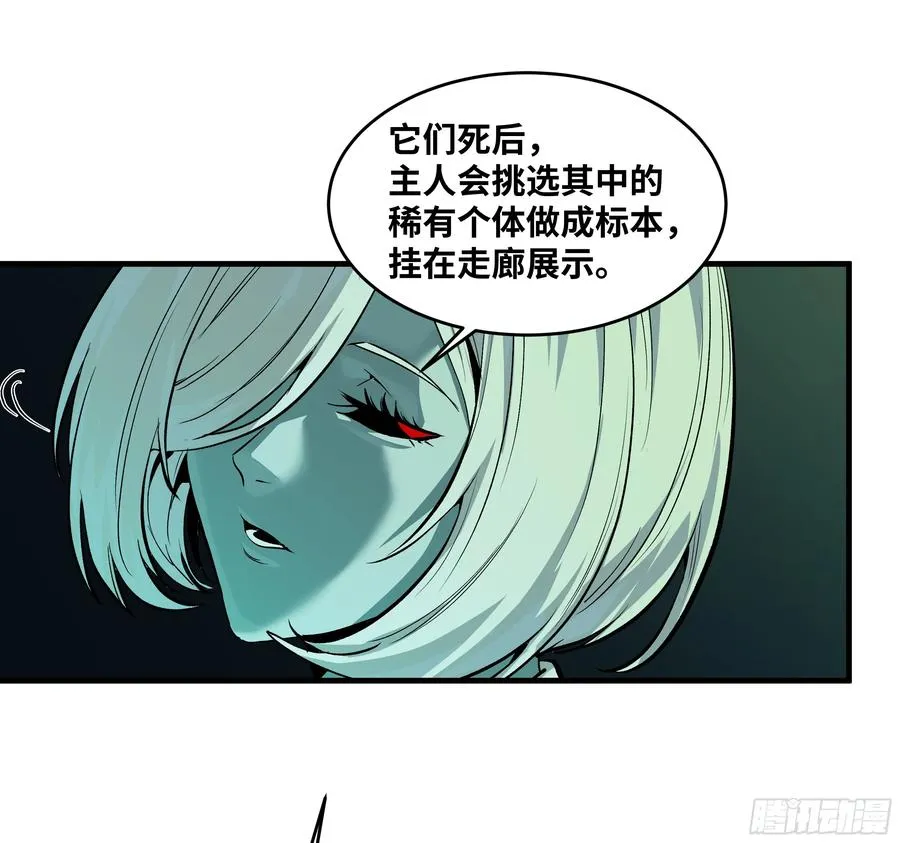 120 标本 第27页