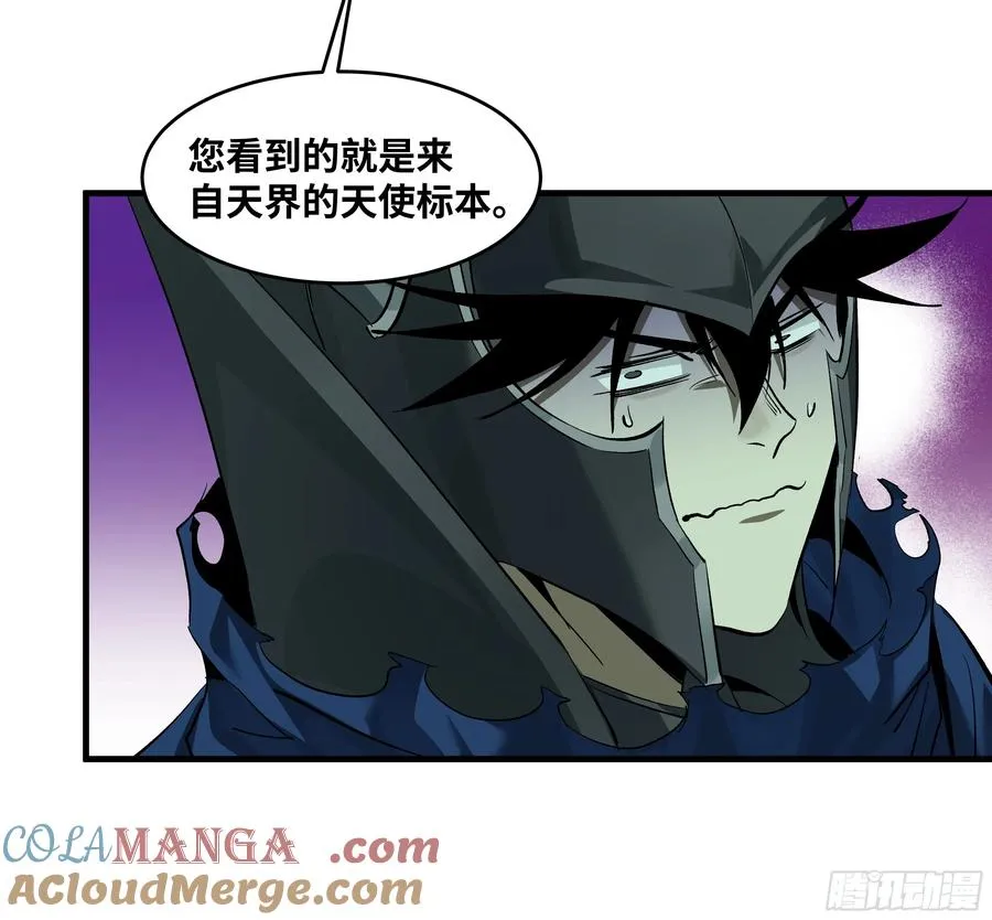 120 标本 第28页