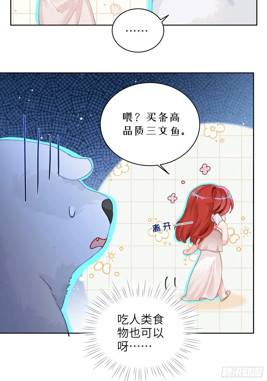 第15话 嗷呜——白熊出击 第17页