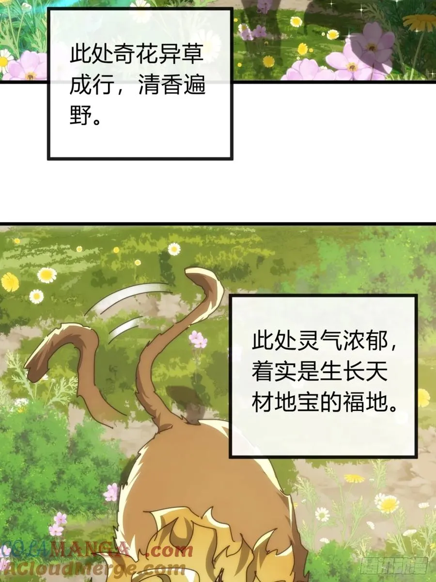 124话 打赌 第49页