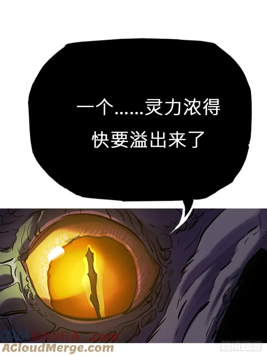 枭蛇 第16页