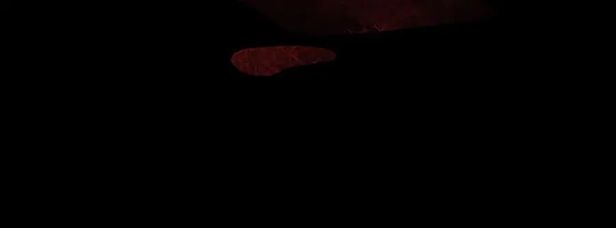 第63话 离开皇宫 第119页