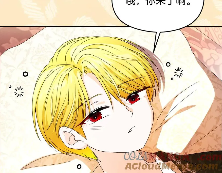 外传1 幼年卡尔 第117页
