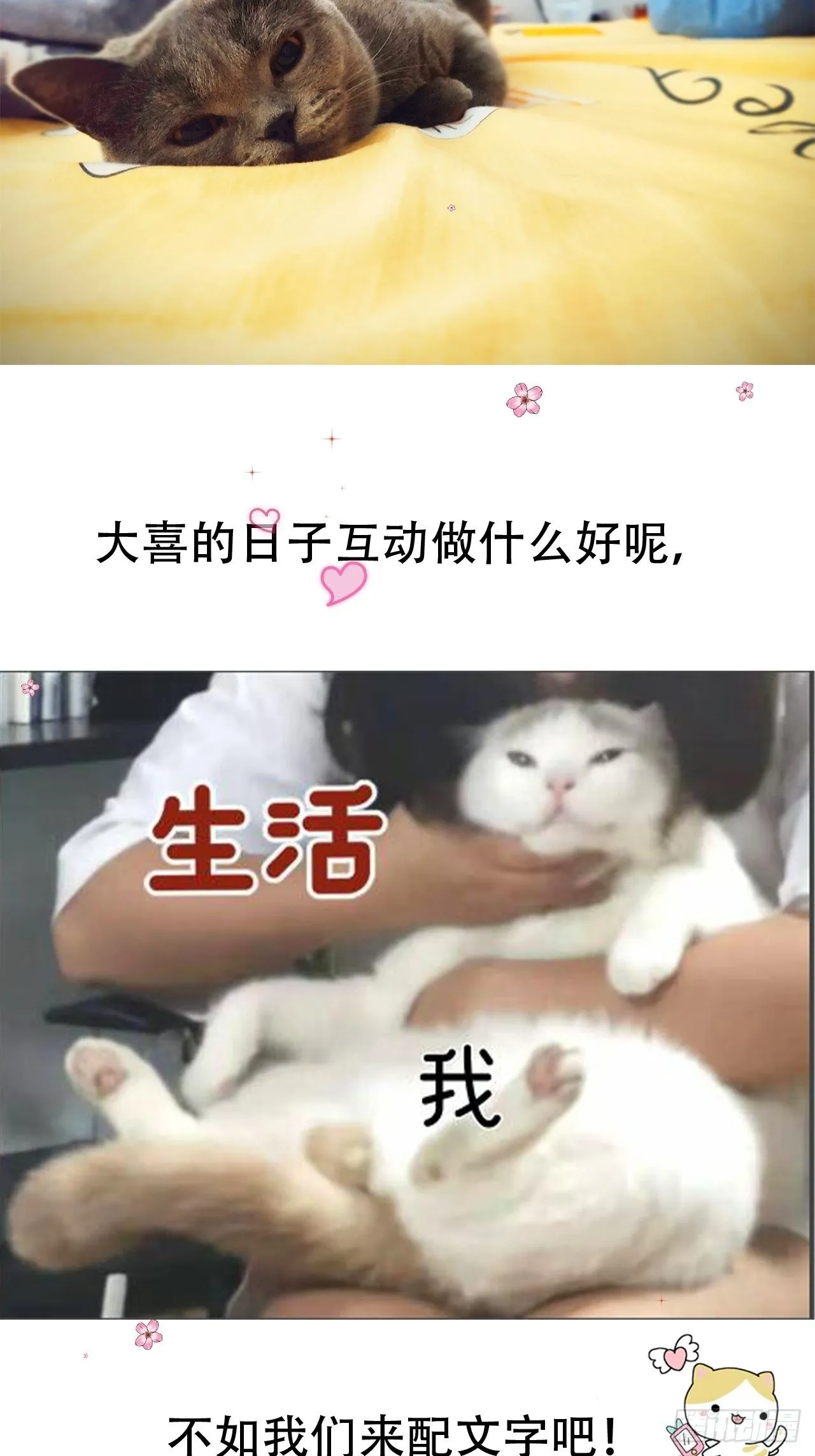 05 女装 第44页