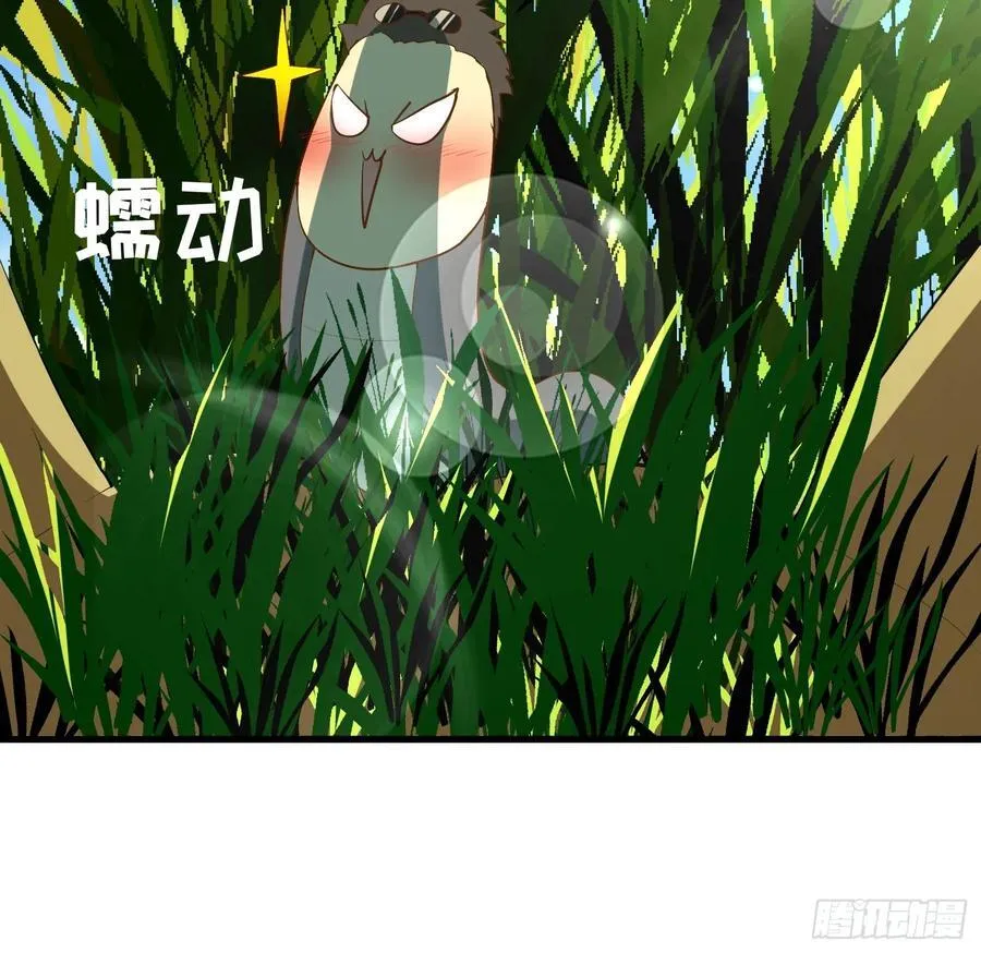 51 怎么还不醒 第12页