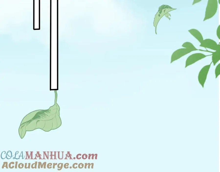 完结篇 蜜月与婚礼 第13页