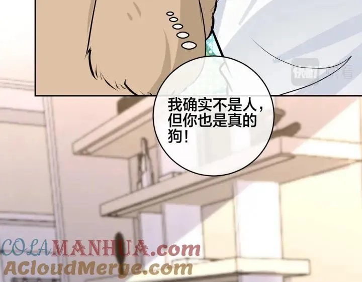 番外48 快叫爹 第64页