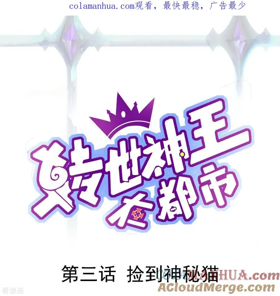 第3话 捡到神秘猫 第1页