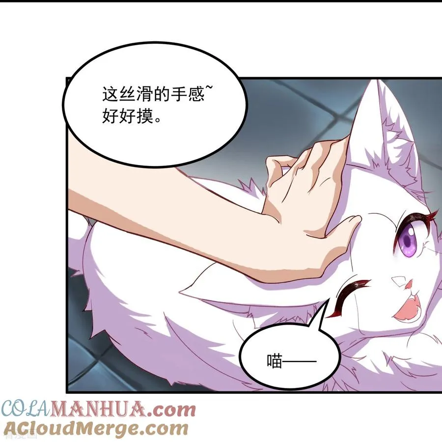 第3话 捡到神秘猫 第11页