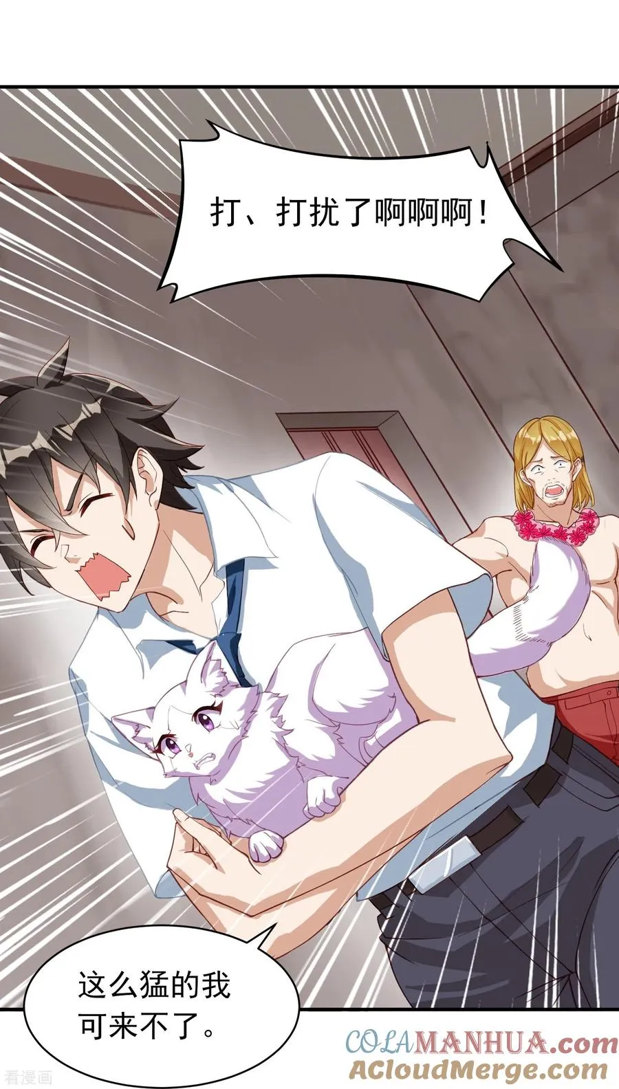 第3话 捡到神秘猫 第19页