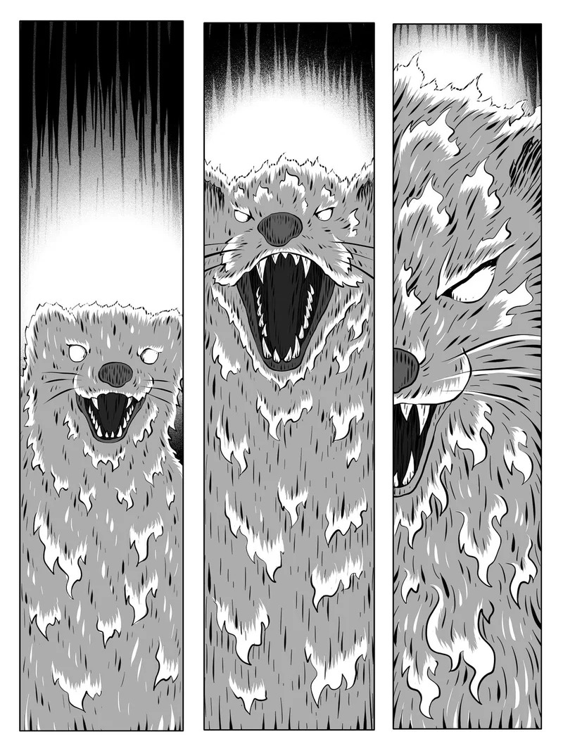 第248 第7页