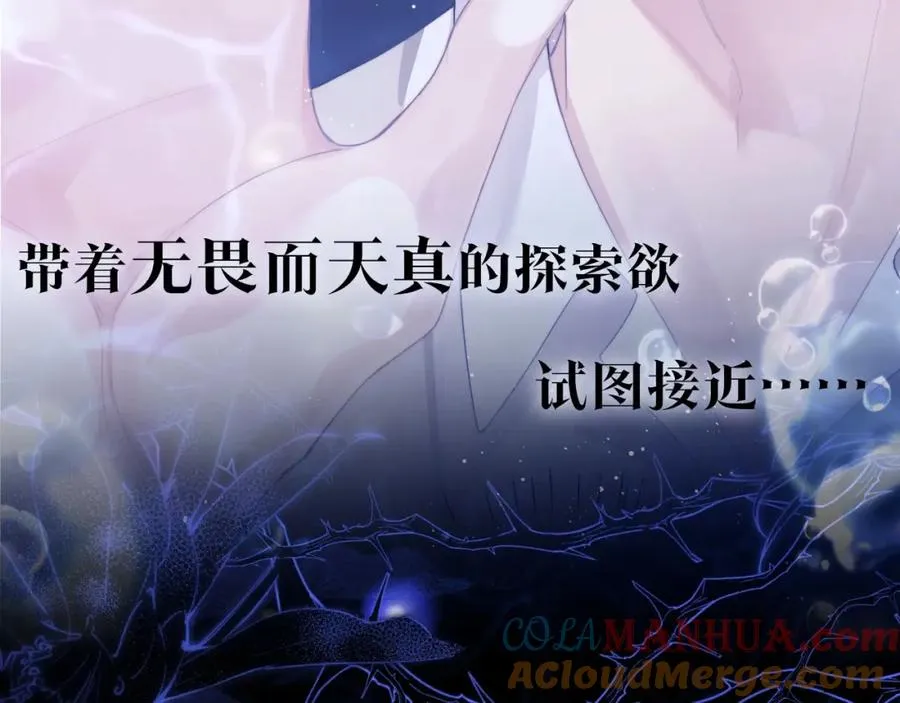 序章 他带着人鱼走来了 第11页