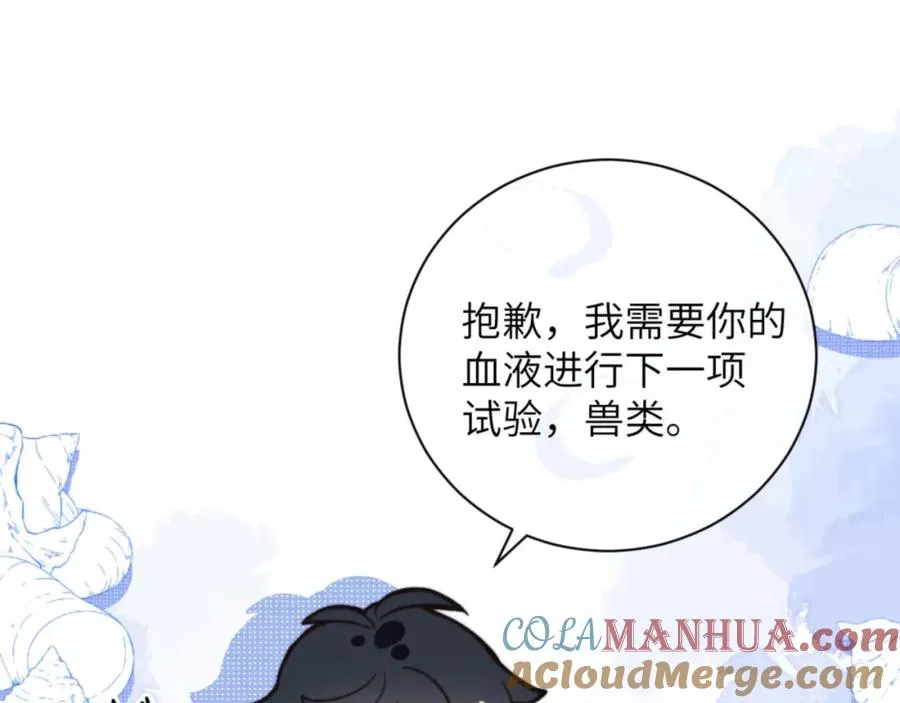 第17话 给你我的所有 第13页