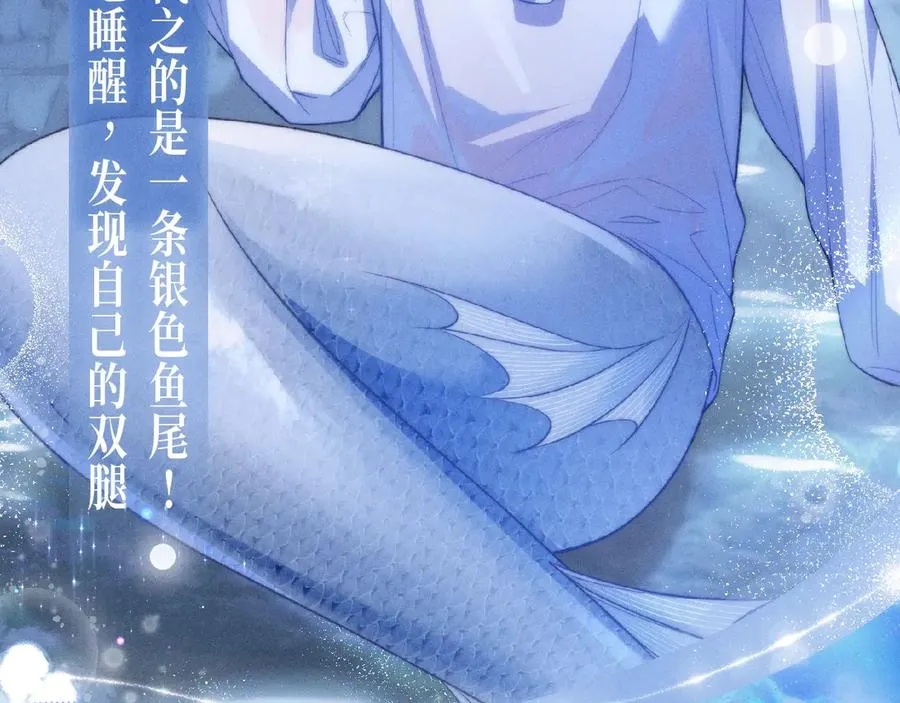 特典公开：12月30日 德萨罗人鱼 灵犀鲛恋 化鳞情笺 第6页