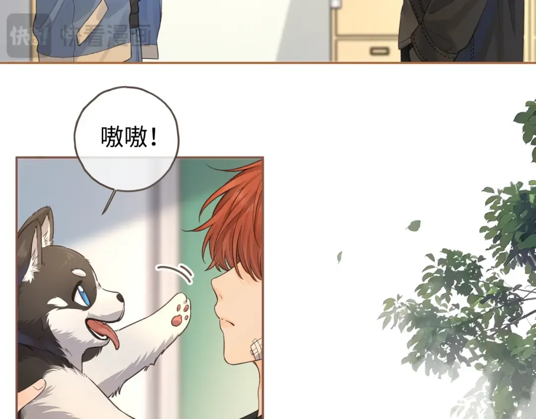 第19话 口嫌体正直的关心 第59页