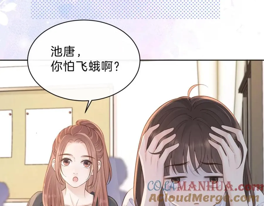 第三十六话 飞蛾 第13页