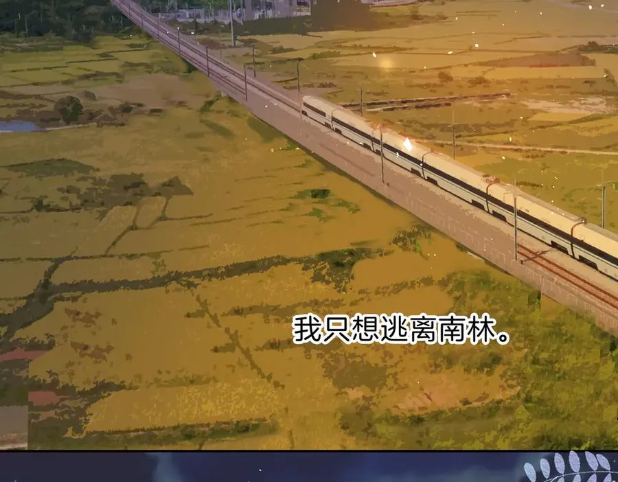 第69话 逃离南林 第46页