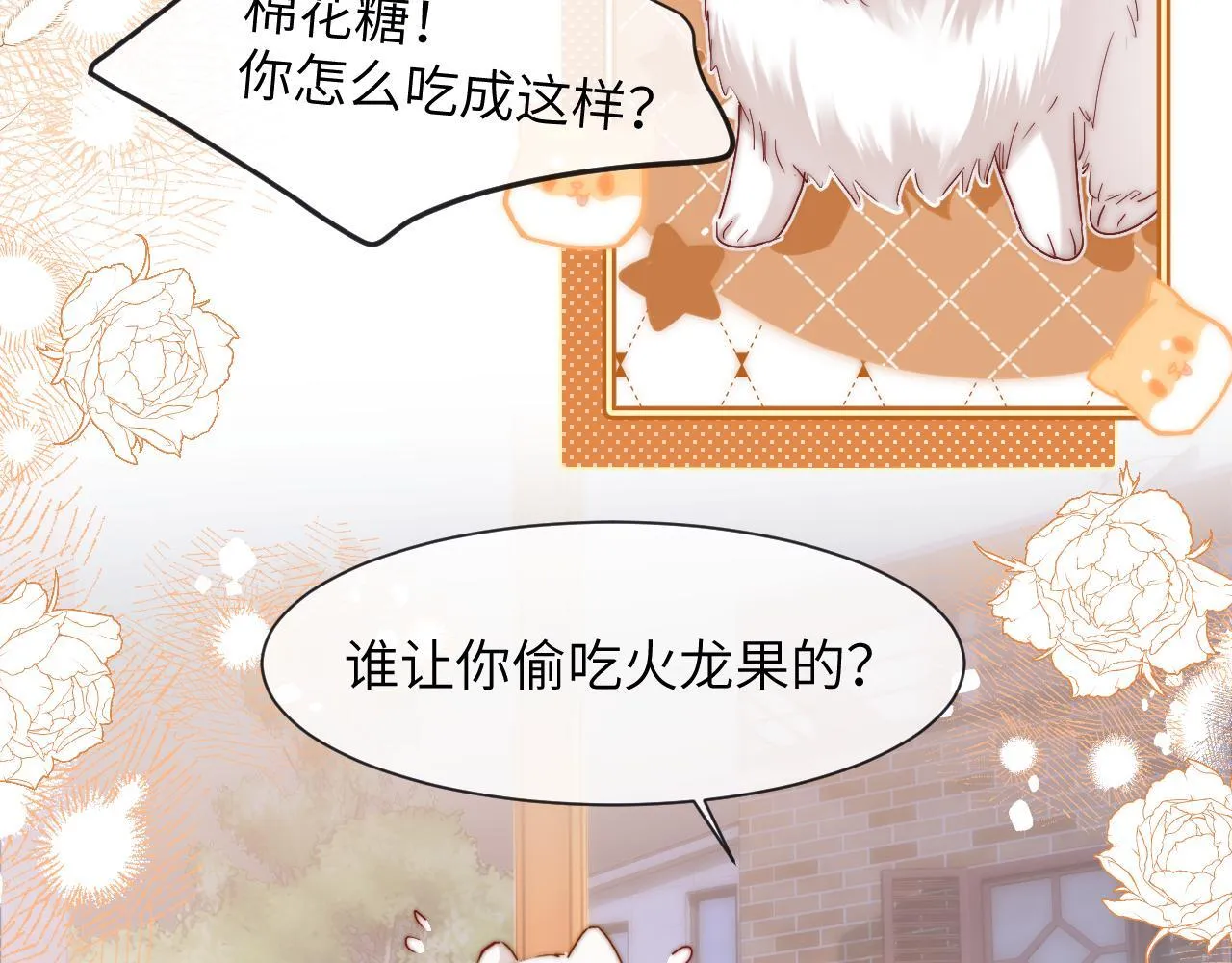 第13话 又踩坑了！ 第14页
