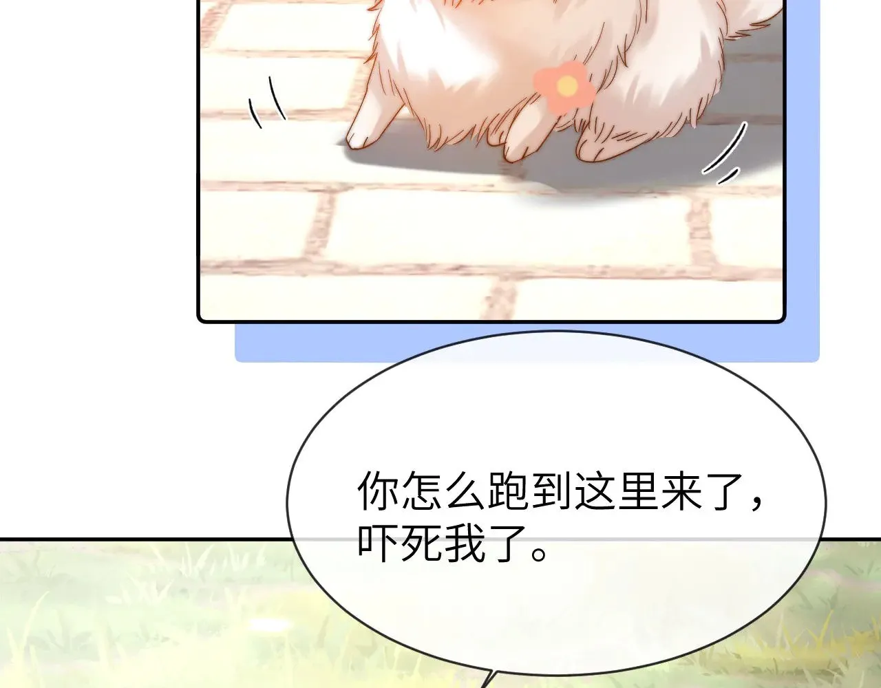 第49话 棉花糖走丢了？！ 第67页