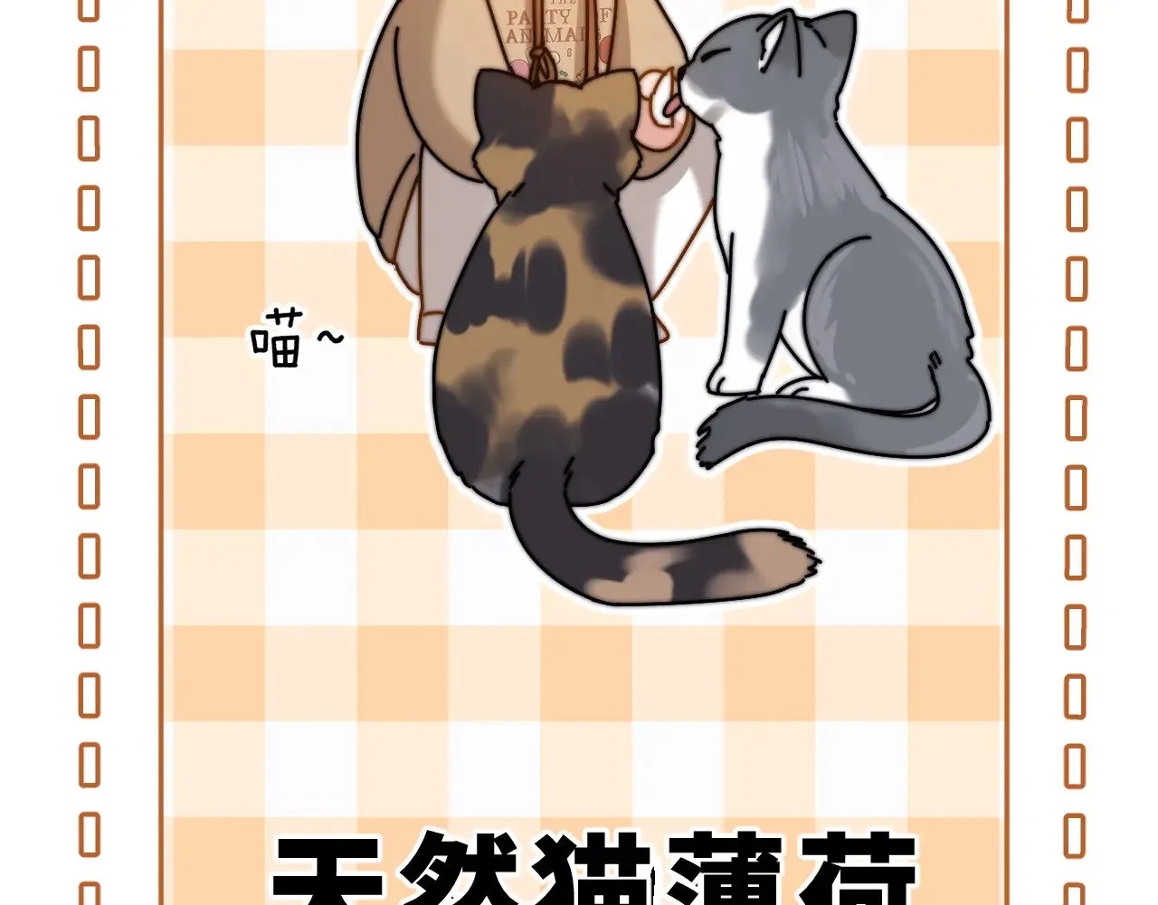 第61话 无法直白展示情感 第12页