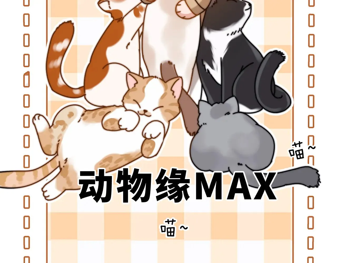 第61话 无法直白展示情感 第14页