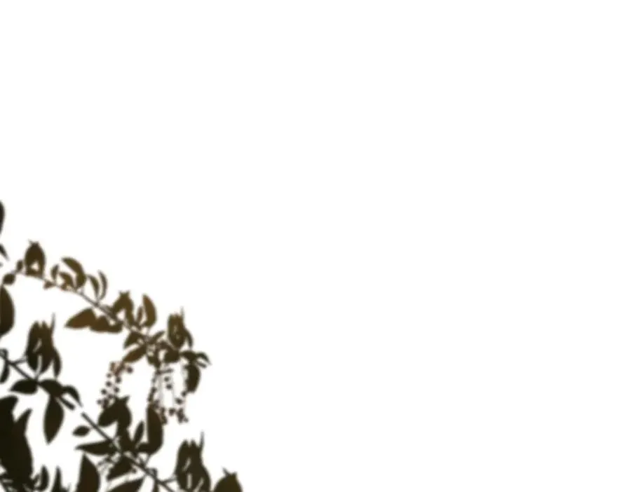 第二十五话 你吃糖吗？ 第72页