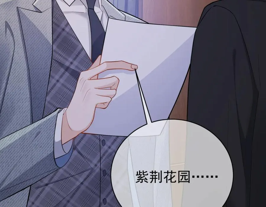第4话：天才萌宝 第102页