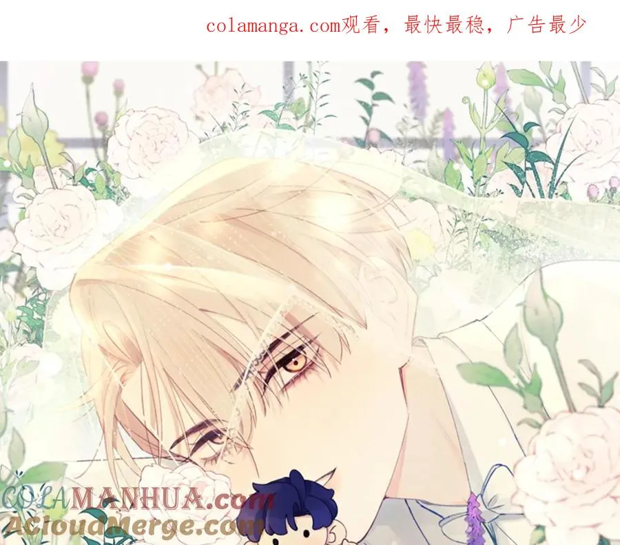 第51话 陈柯尧再次英雄救美 第1页
