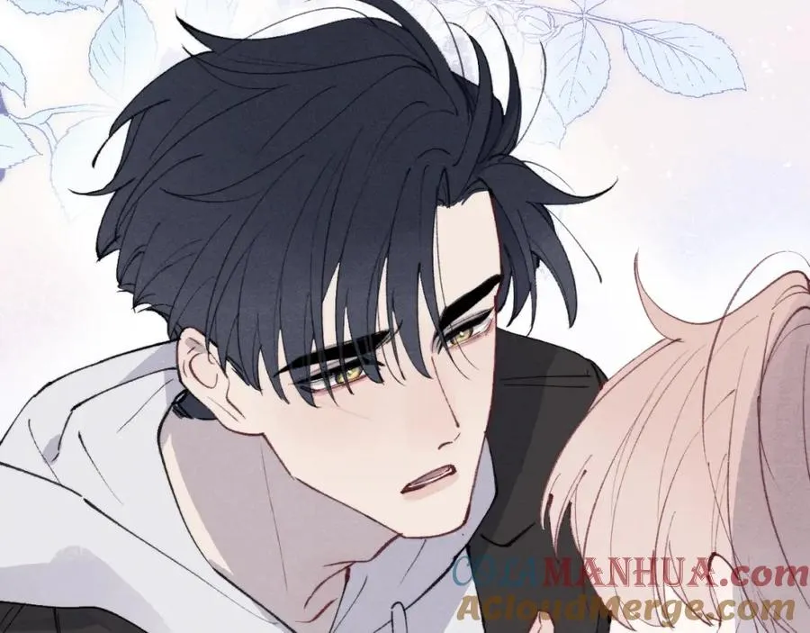 第54话 你是不是喜欢我！ 第29页
