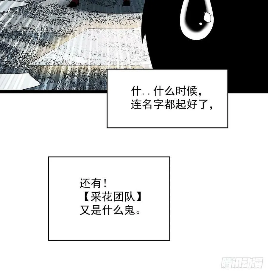 采花团队成立 第22页
