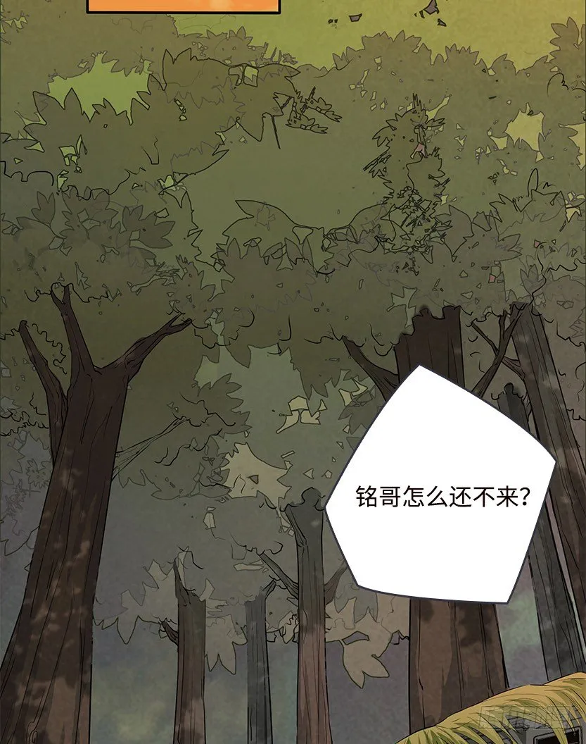 第2波缩圈 第43页