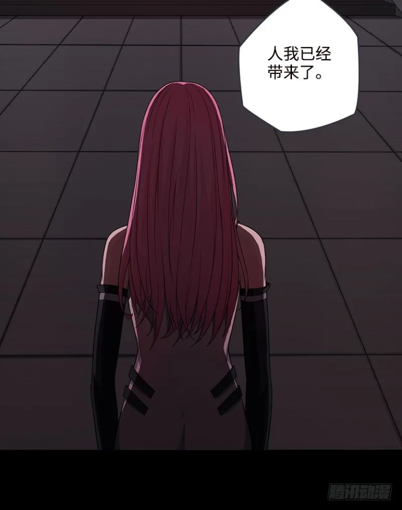 VIP专属服务？ 第43页