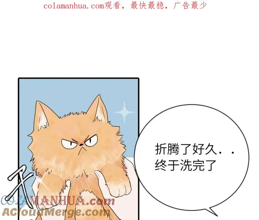 第四话 反正也没说 第1页