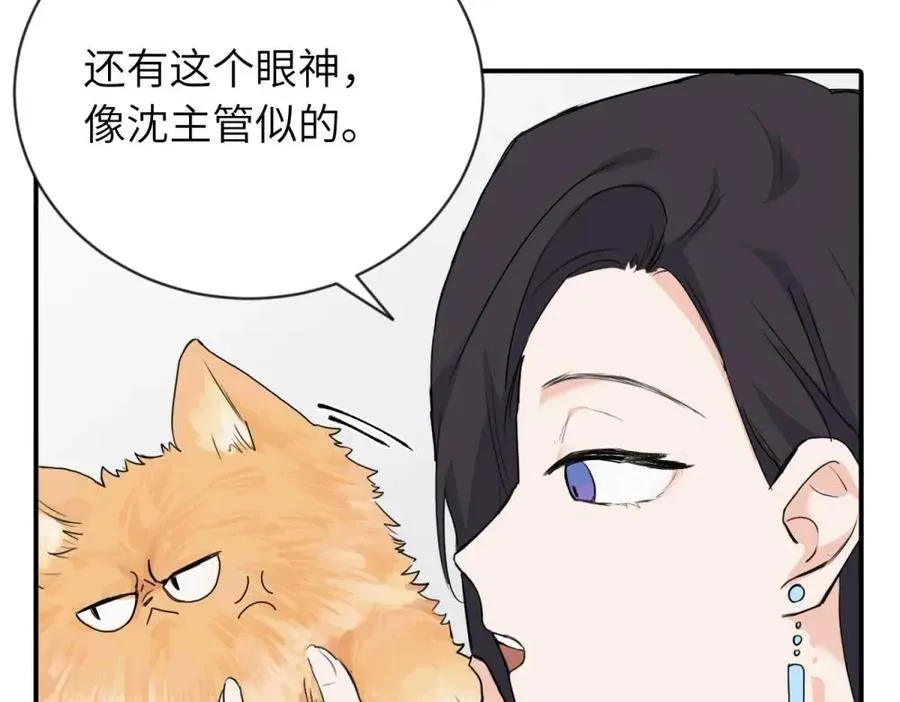 第四话 反正也没说 第5页