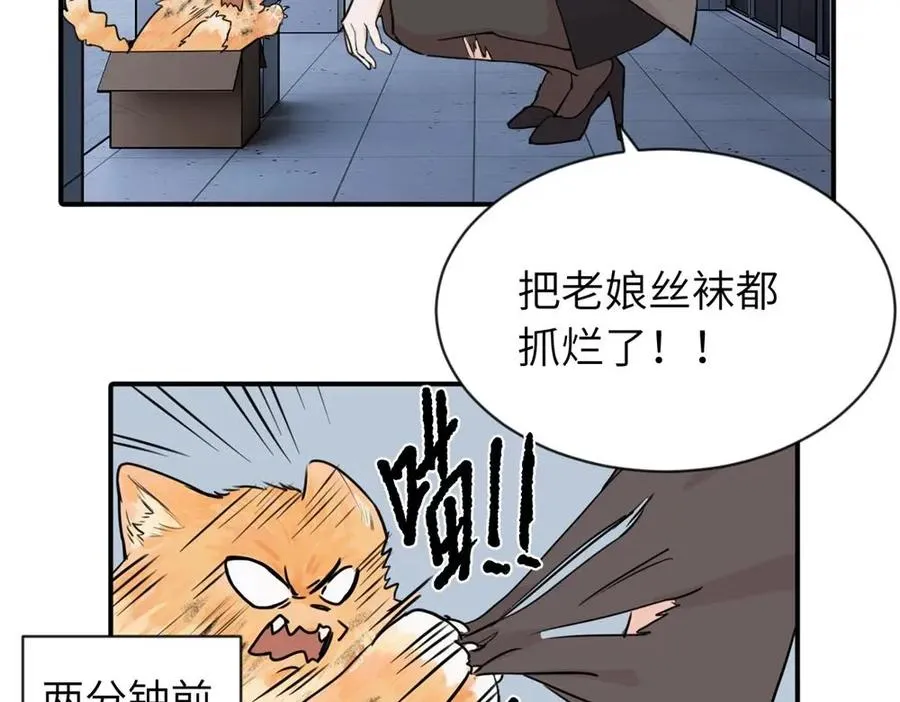 第三话 还挺有趣的 第50页