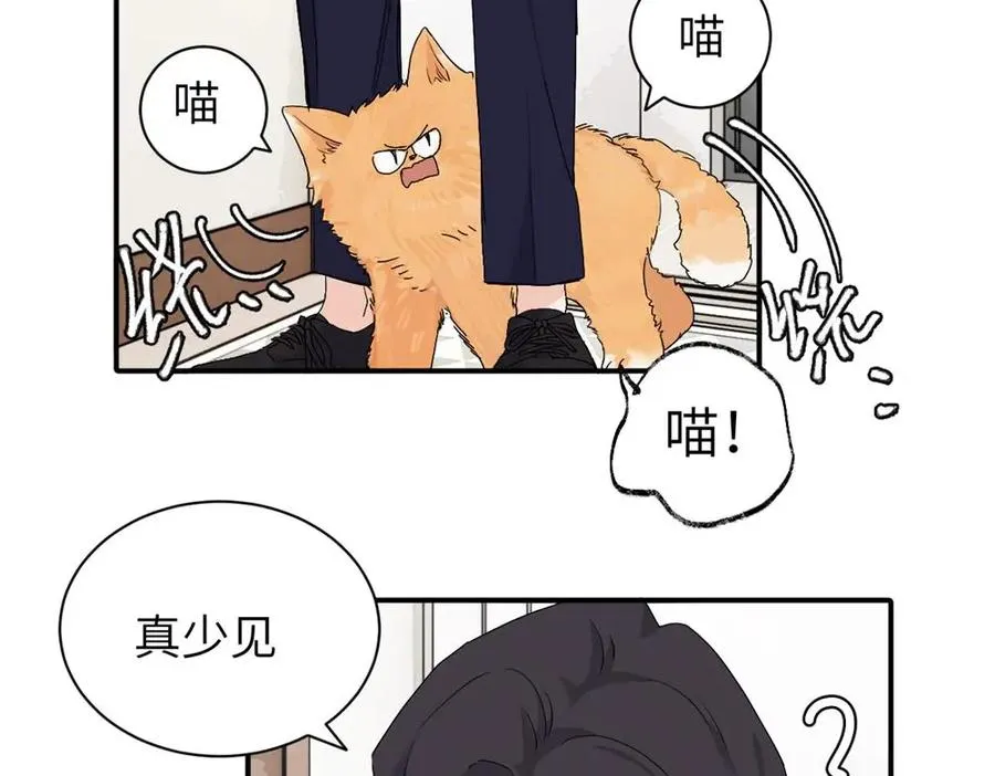 二十五话 试图挽回 第6页